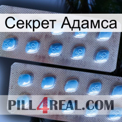 Секрет Адамса viagra4